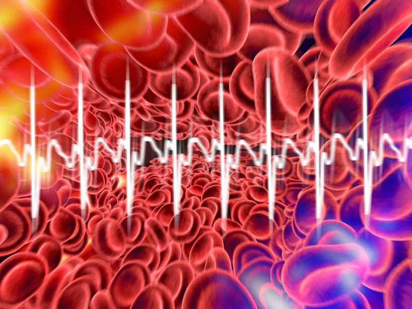 无人,横图,室内,白天,正面,数码,数据,科技,一排,许多,阴影,朦胧,模糊,整齐,分析,曲线,网络,细胞,心电图,很多,高光,几何,计算机图形,合成,排列,红色,保健,统计,电脑合成图,数码合成图,折线,医疗,医疗设备,队列,折线图,写实,具体,具象,彩图