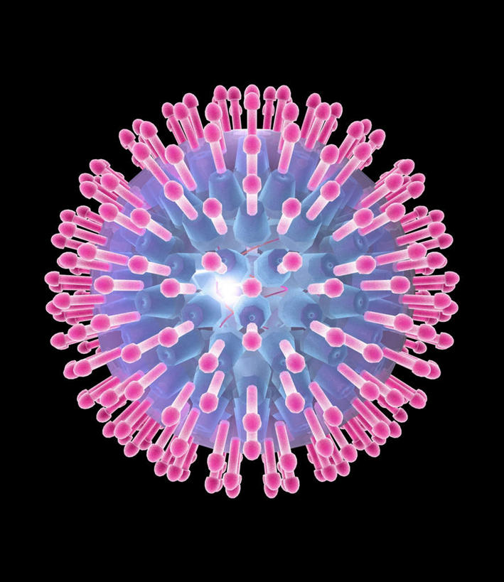 无人,竖图,插画,室内,白天,正面,数码,科技,微生物,阴影,黑色背景,网络,医学,粉红色,粉红,高光,几何,计算机图形,合成,图画,画,一个,粉色,蓝色,生物,单个,电脑合成图,数码合成图,医疗,病毒,生物学,漫画,写实,具体,具象,寄生,生命体,生物病毒,DNA病毒,疱疹,疱疹病毒,彩图