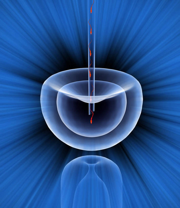 无人,竖图,插画,室内,白天,正面,数码,科技,阴影,蓝色背景,梦幻,发光,光束,科学,网络,医学,光亮,高光,几何,计算机图形,合成,图画,画,蓝色,怀孕,电脑合成图,数码合成图,医疗,科学技术,未来,发亮,人工受精,漫画,憧憬,试管婴儿,写实,具体,具象,彩图,体外受精,体外受孕