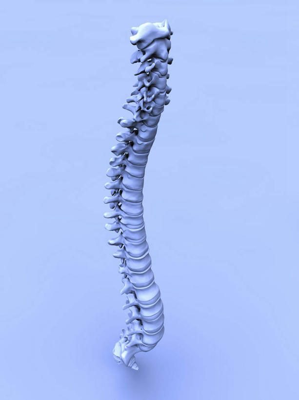 脊髓,无人,竖图,室内,特写,白天,正面,数码,科技,阴影,蓝色背景,曲折,弯曲,曲线,网络,高光,几何,计算机图形,合成,蜿蜒,电脑合成图,数码合成图,写实,具体,具象,脊柱,彩图