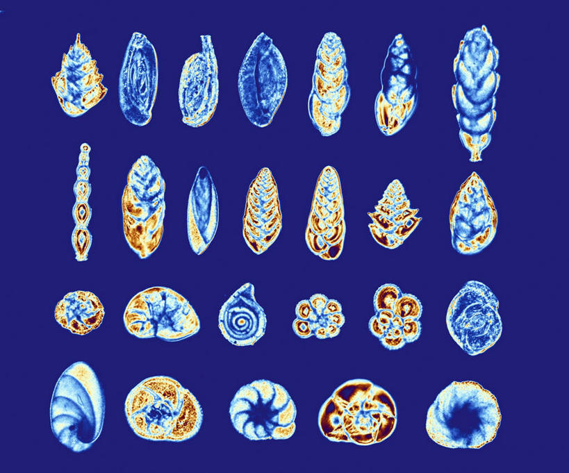 无人,横图,室内,特写,白天,正面,数码,仪器,科技,一排,许多,阴影,蓝色背景,检查,整齐,反射,分析,科学,网络,昆虫,显微镜,高光,几何,计算机图形,合成,排列,动物,观察,生物,清晰,探索,放大,观看,仔细,电脑合成图,数码合成图,透镜,凸透镜,聚焦,队列,关注,写实,具体,具象,光学,害虫,清楚,真核生物,阿米巴,变形虫,单细胞生物,阿米巴原虫,彩图