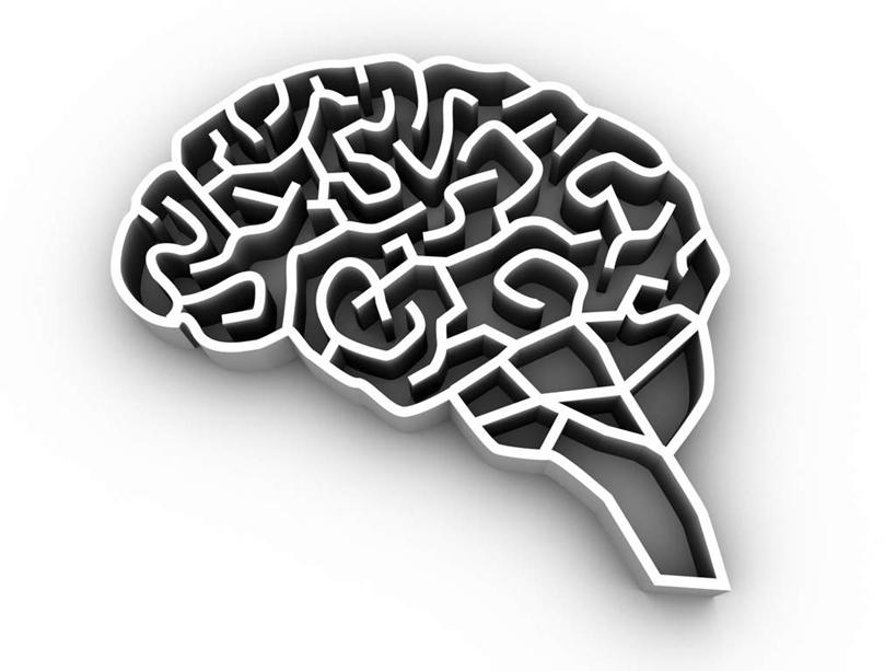 无人,横图,室内,特写,白天,白色背景,正面,数码,科技,大脑,阴影,网络,高光,几何,计算机图形,合成,模型,电脑合成图,数码合成图,器官,迷宫,沟壑,小脑,脑干,写实,具体,具象,大脑皮层,端脑,沟,灰质,回,间脑,痴呆,阿尔茨海默病,老年痴呆,彩图,阿尔茨海默氏病