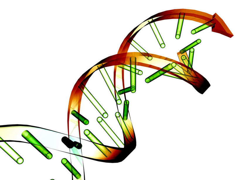 无人,横图,室内,特写,白天,白色背景,正面,数码,科技,阴影,科学,网络,基因,螺旋,高光,几何,计算机图形,合成,红色,蓝色,生物,遗传,电脑合成图,数码合成图,脱氧核糖核酸,写实,具体,具象,DNA分子,去氧核糖核酸,遗传信息,遗传因子,遗传学,分解,分化,彩图