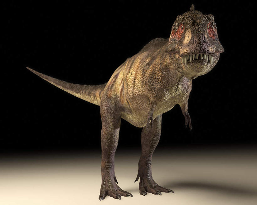 无人,站,横图,插画,室内,白天,正面,数码,科技,阴影,黑色背景,网络,高光,几何,计算机图形,合成,图画,画,一只,站着,恐龙,电脑合成图,数码合成图,凶猛,漫画,霸王龙,写实,具体,具象,灭尽,灭绝,暴龙,雷克斯暴龙,雷克斯龙,史前动物,凶残,站立,彩图,全身