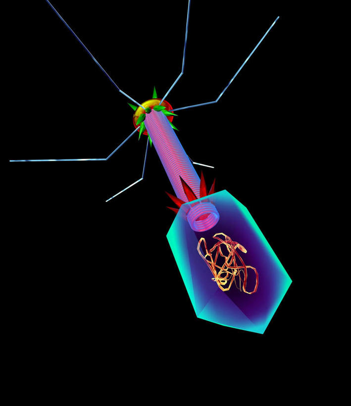 无人,竖图,室内,特写,白天,正面,数码,科技,微生物,阴影,黑色背景,分离,网络,细菌,医学,螺旋,高光,几何,计算机图形,合成,扩散,红色,蓝色,生物,爪,分散,电脑合成图,数码合成图,医疗,病毒,生物学,写实,具体,具象,寄生,生命体,生物病毒,噬菌体,涣散,疏散,彩图