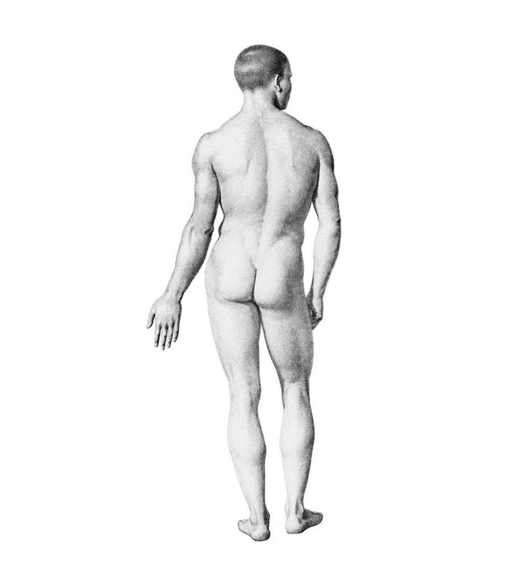 西方人,一个人,无人,站,竖图,黑白,插画,室内,白天,白色背景,数码,科技,欧洲,欧洲人,仅一个男性,仅一个人,阴影,网络,高光,几何,计算机图形,合成,图画,扭头,裸露,画,仅一个年轻男性,背面,灰色,模型,站着,转头,躯干,赤裸,电脑合成图,数码合成图,裸,漫画,写实,具体,具象,躯体,模子,男人,男性,年轻男性,白种人,站立,全身