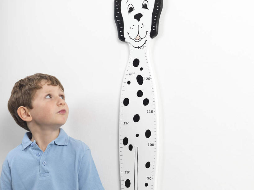 西方人,儿童,一个人,站,横图,室内,白天,白色背景,正面,纯洁,仪器,宠物,狗,欧洲,欧洲人,仅一个男性,仅一个人,服装,测量,注视,休闲装,小孩,衣服,动物,观察,看,站着,仅一个小孩,休闲,休闲服,卡通,可爱,童年,童趣,摄影,服饰,影棚,观看,察看,关注,童真,烂漫,无邪,忠诚,身高,丈量,天真,男孩,男人,男性,白种人,孩子,犬,抬头,仰头,站立,半身,彩图,影棚拍摄,拍摄,男生