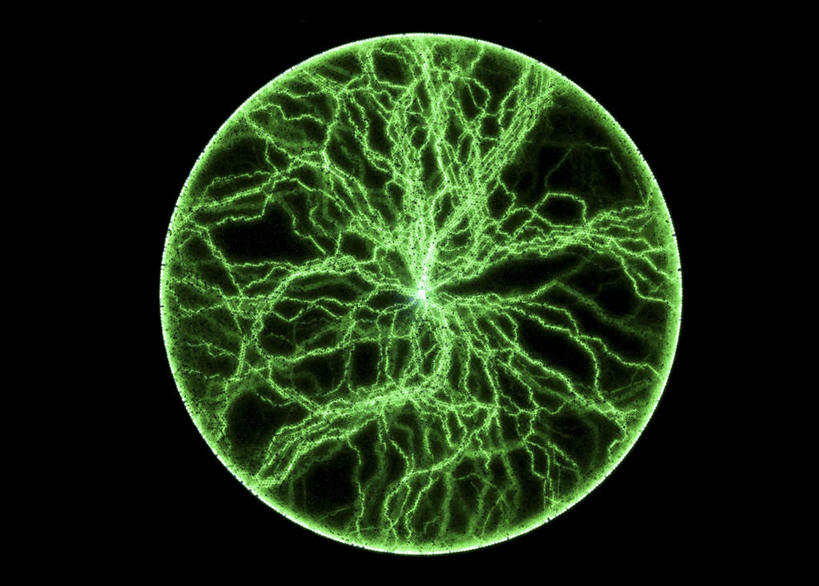 无人,横图,插画,室内,白天,正面,数码,科技,阴影,黑色背景,网络,高光,几何,计算机图形,合成,图画,画,绿色,电脑合成图,数码合成图,漫画,写实,具体,具象,等离子球,电子魔球,魔灯,闪电球,辉光球,电离子魔幻球,彩图