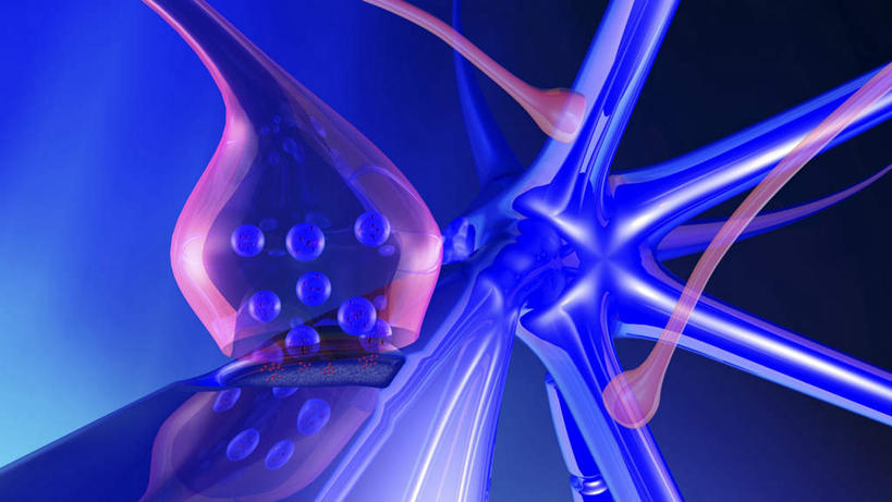 无人,横图,室内,白天,正面,数码,科技,微生物,许多,阴影,蓝色背景,分离,科学,网络,医学,颗粒,细胞,很多,高光,几何,计算机图形,合成,扩散,排列,蓝色,生物,分散,电脑合成图,数码合成图,生物学,写实,具体,具象,突触,神经细胞,解剖学,摆列,神经递质,涣散,疏散,彩图,布列,分列,神经系统