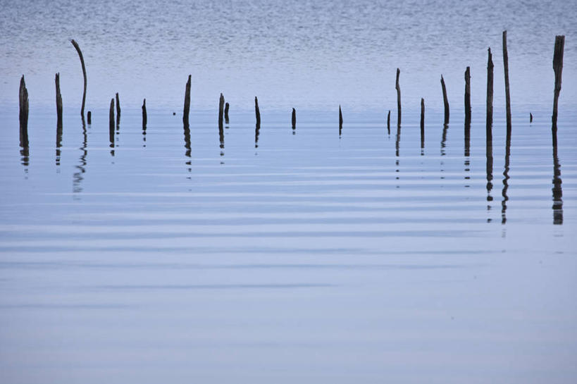 无人,横图,室外,白天,正面,旅游,度假,湖,湖泊,美景,水,日本,亚洲,一排,波纹,整齐,湖面,景观,水流,水面,树桩,涟漪,娱乐,树,树干,排列,倒影,水纹,自然,波浪,湖水,享受,休闲,木桩,景色,放松,倒映,队列,自然风光,东亚,本州,本州岛,日本国,水晕,东北地方,福岛,福岛县,反照,彩图,耶麻郡,猪苗代町,猪苗代湖