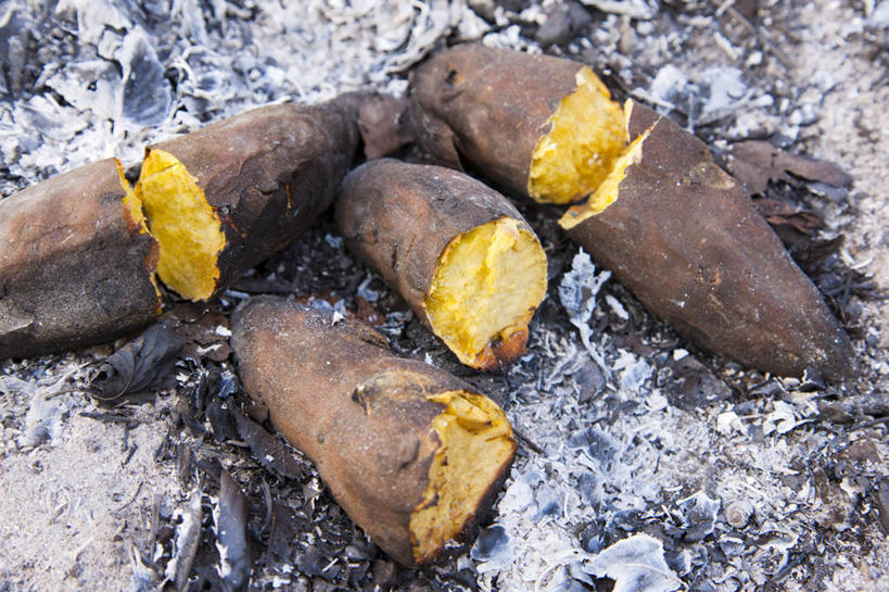 无人,横图,俯视,室外,特写,白天,热情,红薯,火,许多,火焰,很多,燃烧,小吃,剥开,篝火,山芋,甘薯,番薯,地瓜,彩图,高角度拍摄,烘山芋,烤白薯,烤地瓜,烤番薯,烤红薯,煨番薯,营火