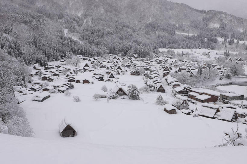 无人,家,木屋,横图,黑白,室外,白天,正面,旅游,度假,美景,山,山脉,树林,雪,植物,大雪,日本,亚洲,积雪,景观,山峰,雪景,冬季,冬天,山峦,娱乐,住宅,树,树木,绿色,自然,群山,享受,休闲,景色,放松,寒冷,生长,成长,自然风光,东亚,本州,本州岛,日本国,中部地方,岐阜,岐阜县,严寒,茅舍,茅屋,棚屋,小木屋,小屋,大野郡,白川村