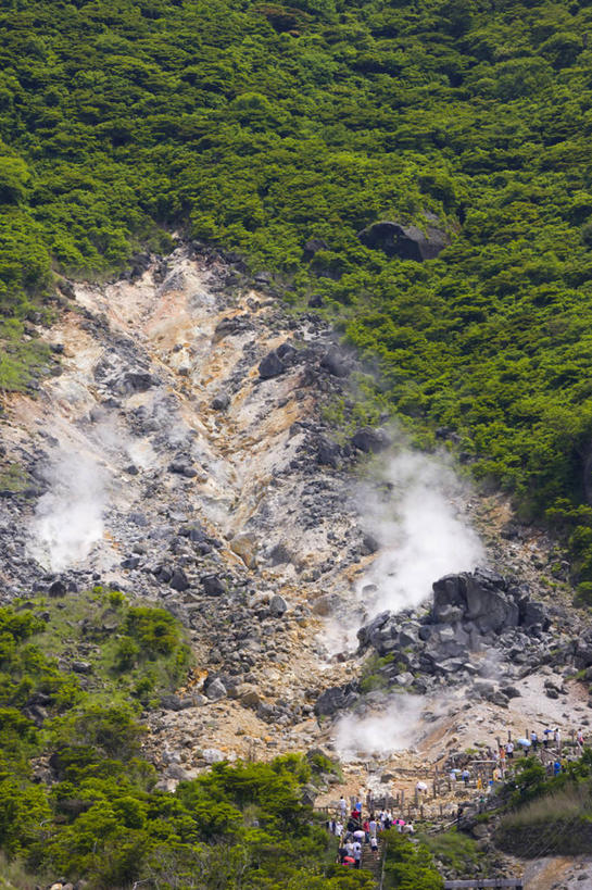 竖图,室外,白天,正面,旅游,度假,火山,石头,美景,森林,山,山脉,树林,植物,雾,神奈川,日本,亚洲,阴影,沸腾,光线,蒸汽,石子,影子,景观,山峰,山峦,水蒸气,神奈川县,娱乐,树,树木,绿色,阳光,自然,群山,享受,休闲,景色,放松,生长,成长,自然风光,火山岩,东亚,本州,关东地方,本州岛,日本国,蒸发,活火山,石块,岩石,半身,彩图