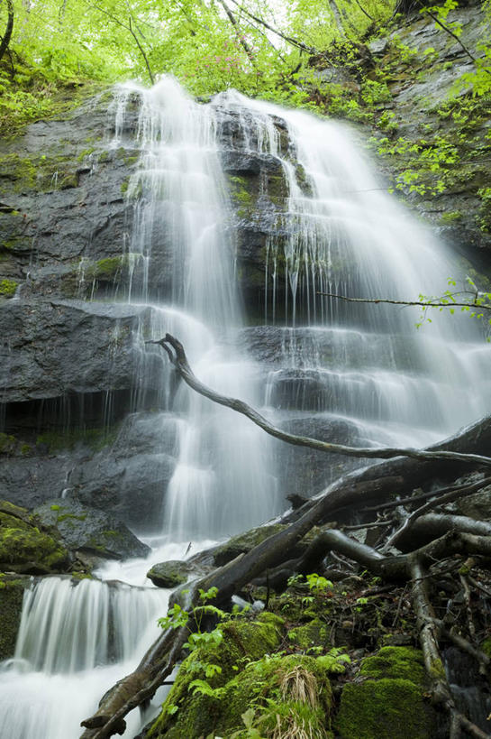 无人,竖图,室外,白天,仰视,旅游,度假,石头,美景,瀑布,树林,水,峡谷,植物,日本,亚洲,阴影,飞溅,溅,光线,石子,液体,影子,景观,水滴,山谷,娱乐,水珠,树,树木,绿色,阳光,自然,享受,休闲,景色,放松,生长,成长,岩层,喷洒,自然风光,东亚,本州,本州岛,日本国,青森,青森县,东北地方,奥入濑町,奥入濑溪流,跌水,石块,岩石,彩图,低角度拍摄,上北郡