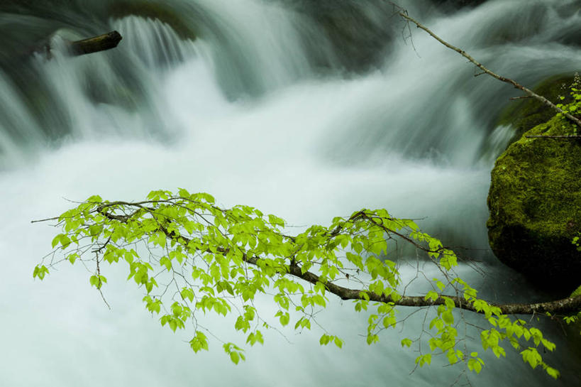 无人,横图,俯视,室外,白天,旅游,度假,河流,石头,美景,树林,水,峡谷,植物,日本,亚洲,飞溅,溅,石子,液体,河水,景观,水滴,水流,山谷,娱乐,水珠,树,树木,绿色,小溪,自然,溪水,享受,休闲,景色,放松,生长,成长,岩层,喷洒,自然风光,东亚,本州,本州岛,日本国,青森,青森县,东北地方,奥入濑町,奥入濑溪流,石块,岩石,彩图,高角度拍摄,上北郡