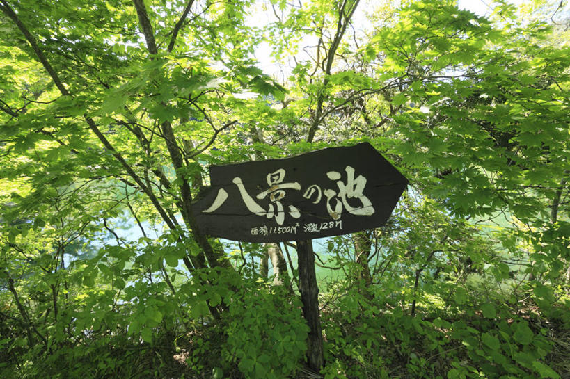 无人,公园,横图,室外,白天,正面,旅游,度假,美景,树林,植物,指示牌,日本,亚洲,日文,标志,路标,文字,字符,景观,方向,娱乐,标识,路牌,箭头,树,树木,绿色,自然,享受,休闲,景色,放松,生长,成长,指向,自然风光,东亚,本州,本州岛,日本国,青森,青森县,东北地方,簇,日语,彩图,国定公园,津轻国定公园,准国家公园