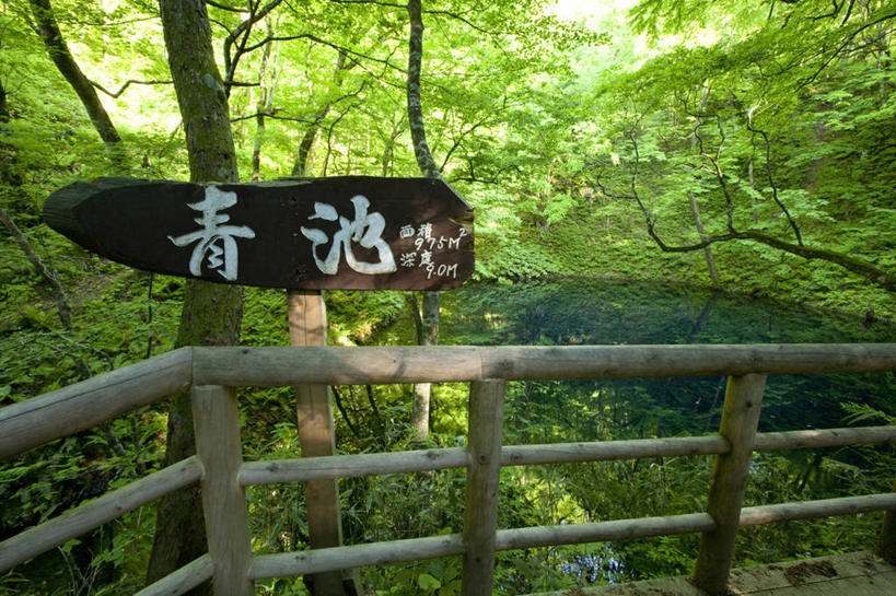 无人,公园,栏杆,横图,室外,白天,正面,旅游,度假,湖,湖泊,美景,树林,水,植物,指示牌,日本,亚洲,日文,标志,扶手,路标,文字,字符,湖面,景观,水流,水面,娱乐,标识,护栏,路牌,树,树木,绿色,自然,湖水,享受,休闲,景色,放松,生长,成长,自然风光,东亚,本州,本州岛,日本国,青森,青森县,东北地方,日语,彩图,国定公园,津轻国定公园,青池,十二湖,准国家公园