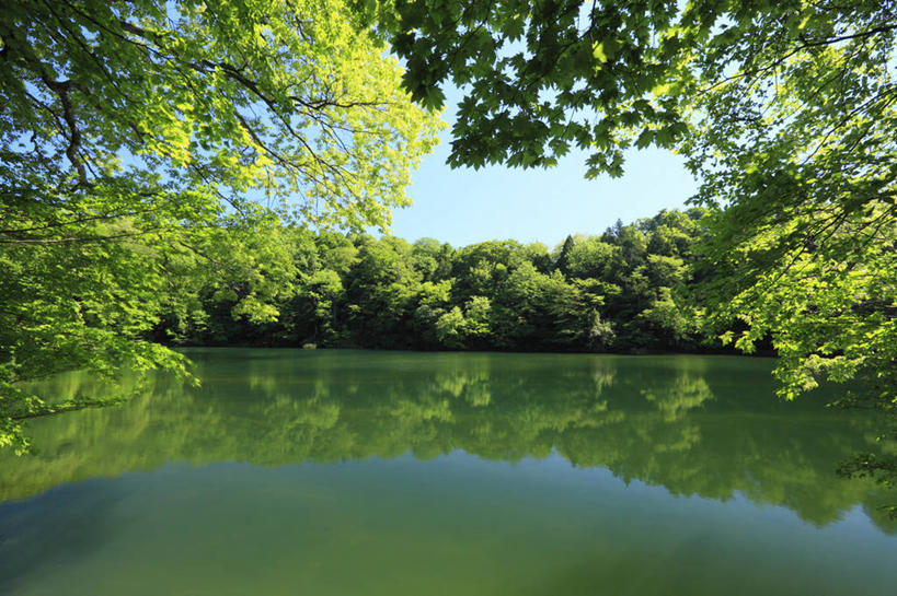 无人,公园,横图,室外,白天,正面,旅游,度假,湖,湖泊,美景,树林,水,植物,日本,亚洲,阴影,光线,影子,湖面,景观,水流,水面,娱乐,树,树木,蓝色,绿色,蓝天,天空,阳光,自然,湖水,天,享受,休闲,景色,放松,生长,晴朗,成长,自然风光,东亚,本州,万里无云,本州岛,日本国,青森,青森县,东北地方,晴空,晴空万里,彩图,国定公园,津轻国定公园,准国家公园