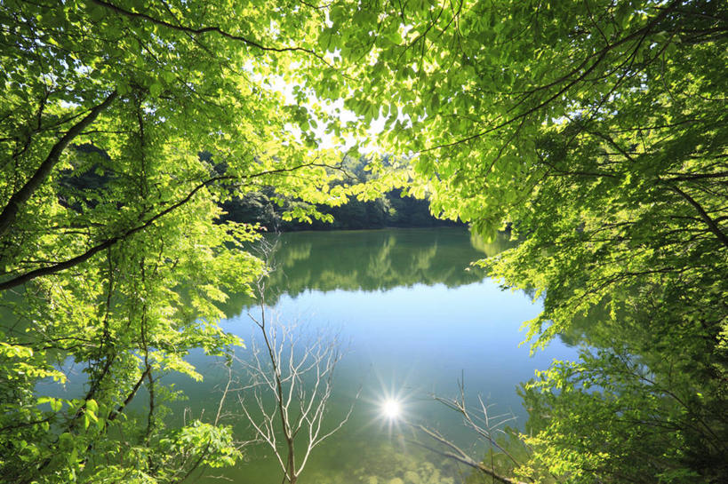 无人,公园,横图,俯视,室外,白天,旅游,度假,湖,湖泊,美景,树林,水,植物,日本,亚洲,阴影,光线,影子,湖面,景观,水流,水面,娱乐,树,树木,绿色,倒影,阳光,自然,湖水,享受,休闲,景色,放松,生长,成长,倒映,自然风光,东亚,本州,本州岛,日本国,青森,青森县,东北地方,反照,彩图,高角度拍摄,镜头光晕,透镜闪耀,眩光,国定公园,津轻国定公园,准国家公园