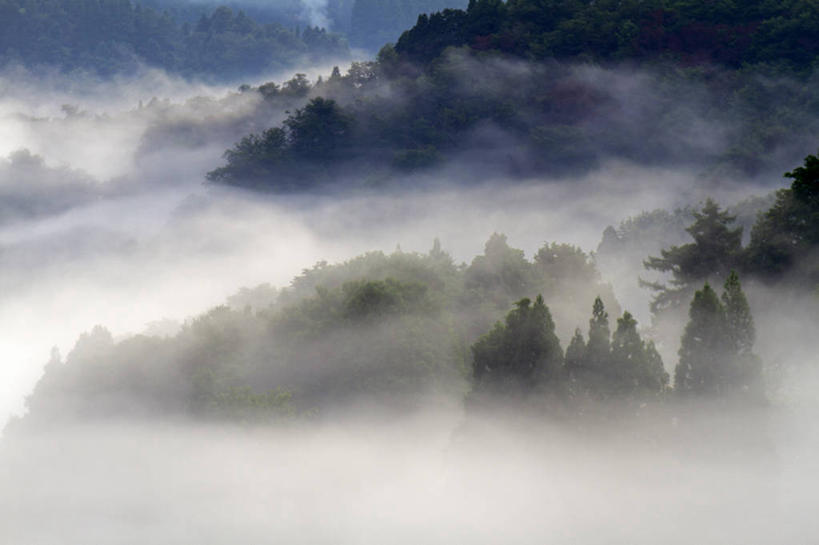 无人,横图,俯视,航拍,室外,白天,旅游,度假,日出,美景,山,山脉,树林,太阳,植物,雾,日本,亚洲,朦胧,模糊,景观,山峰,朝霞,晨曦,黎明,山峦,娱乐,树,树木,绿色,阳光,自然,群山,享受,休闲,景色,放松,生长,成长,迷雾,鸟瞰,自然风光,东亚,本州,本州岛,日本国,中部地方,新潟,新潟县,朝阳,大雾,彩图,高角度拍摄,卯时,破晓,日始,十日町市