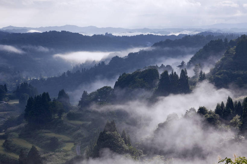 无人,横图,俯视,航拍,室外,白天,旅游,度假,日出,美景,山,山脉,树林,太阳,植物,雾,日本,亚洲,朦胧,模糊,景观,山峰,朝霞,晨曦,黎明,山峦,娱乐,树,树木,绿色,阳光,自然,群山,享受,休闲,景色,放松,生长,成长,迷雾,鸟瞰,自然风光,东亚,本州,本州岛,日本国,中部地方,新潟,新潟县,朝阳,大雾,彩图,高角度拍摄,卯时,破晓,日始,十日町市