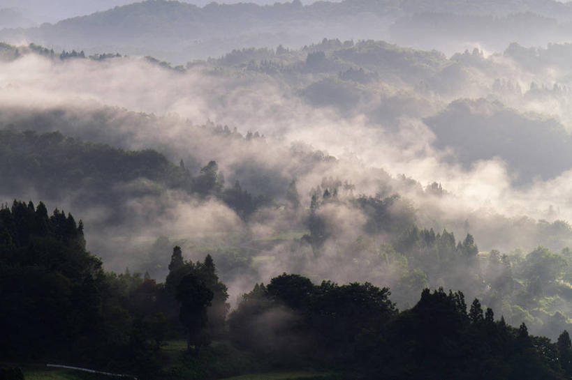 无人,横图,俯视,室外,白天,旅游,度假,日出,美景,树林,太阳,植物,雾,日本,亚洲,阴影,朦胧,模糊,光线,影子,景观,朝霞,晨曦,黎明,娱乐,树,树木,绿色,阳光,自然,享受,休闲,景色,放松,生长,成长,迷雾,自然风光,东亚,本州,本州岛,日本国,中部地方,新潟,新潟县,朝阳,大雾,彩图,高角度拍摄,卯时,破晓,日始,十日町市