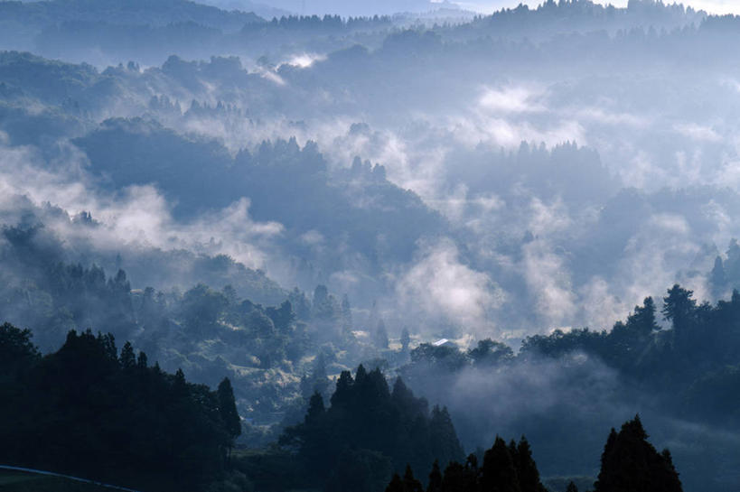 无人,横图,俯视,室外,白天,旅游,度假,日出,美景,树林,太阳,植物,雾,日本,亚洲,阴影,朦胧,模糊,光线,影子,景观,朝霞,晨曦,黎明,娱乐,树,树木,绿色,阳光,自然,享受,休闲,景色,放松,生长,成长,迷雾,自然风光,东亚,本州,本州岛,日本国,中部地方,新潟,新潟县,朝阳,大雾,彩图,高角度拍摄,卯时,破晓,日始,十日町市