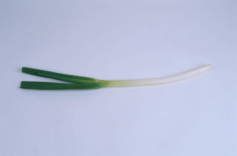 无人,横图,俯视,室内,特写,白天,白色背景,桌面,桌子,蔬菜,蒜,新鲜,葱,青葱,食品,食物,一个,摄影,有机食品,绿色食品,影棚,单个,小蒜,彩图,高角度拍摄,影棚拍摄,拍摄