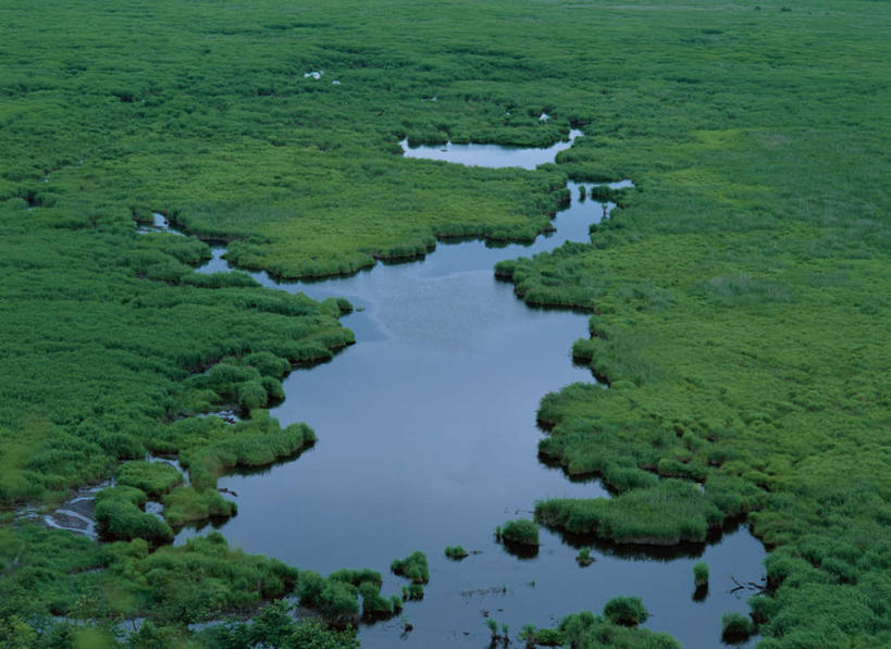 无人,横图,俯视,室外,白天,旅游,度假,草地,草原,草坪,河流,美景,水,植物,北海道,日本,亚洲,河水,景观,水流,娱乐,草,绿色,小溪,自然,溪水,享受,休闲,景色,放松,自然风光,东亚,日本国,北海道地方,北海道岛,钏路湿原,彩图,高角度拍摄