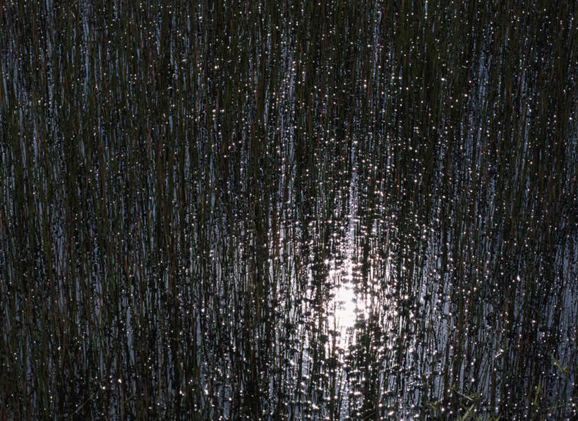 无人,横图,俯视,室外,特写,白天,旅游,度假,河流,美景,水,太阳,日本,亚洲,反射,河水,景观,水流,娱乐,自然,享受,休闲,景色,放松,自然风光,东亚,本州,本州岛,日本国,岩手,岩手县,东北地方,彩图,高角度拍摄