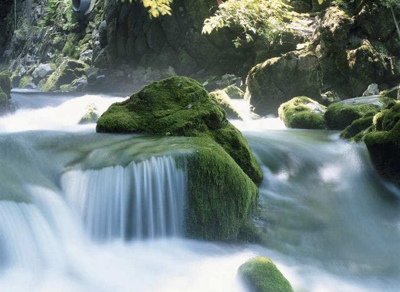 无人,横图,室外,白天,正面,旅游,度假,河流,石头,美景,水,日本,亚洲,石子,河水,景观,水流,娱乐,小溪,自然,溪水,享受,休闲,景色,放松,自然风光,东亚,本州,本州岛,日本国,岩手,岩手县,东北地方,石块,岩石,彩图