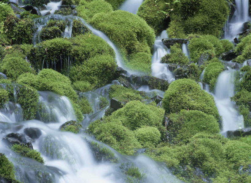 无人,横图,室外,白天,正面,旅游,度假,河流,美景,水,日本,亚洲,河水,景观,水流,苔藓,娱乐,小溪,自然,溪水,享受,休闲,景色,放松,自然风光,东亚,本州,本州岛,日本国,东北地方,福岛,福岛县,彩图