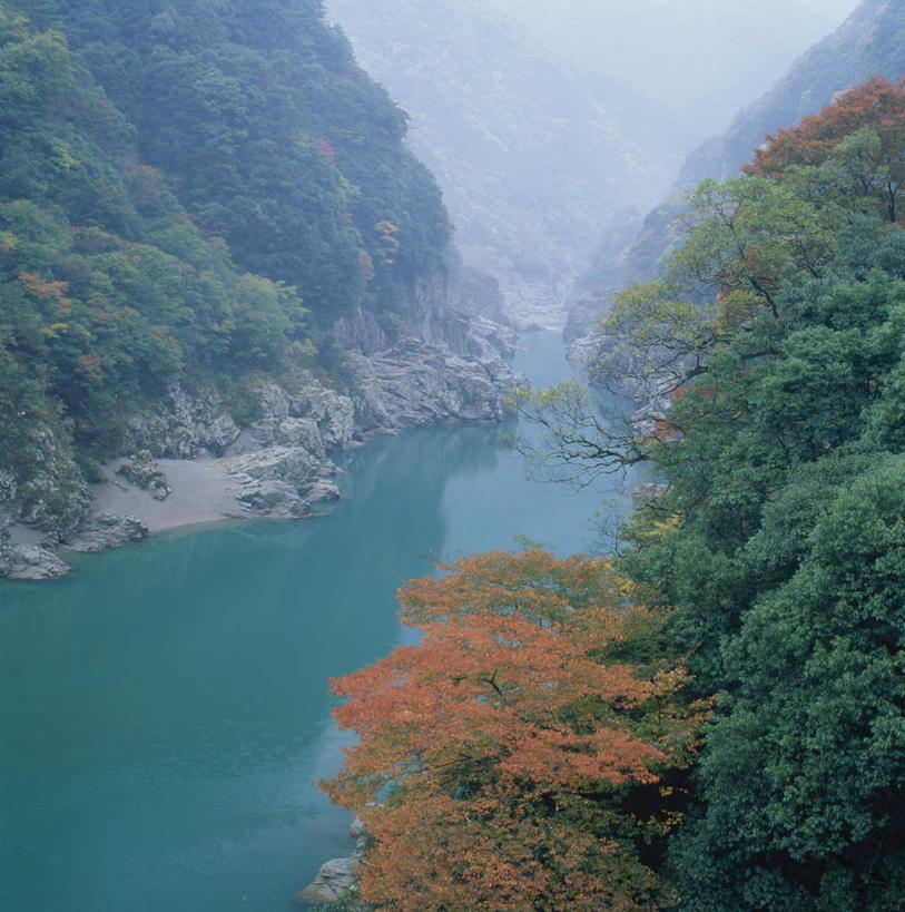 无人,竖图,俯视,室外,白天,旅游,度假,湖,湖泊,美景,秋季,森林,树林,水,植物,爱媛县,日本,亚洲,湖面,景观,水流,水面,娱乐,树,树木,绿色,自然,湖水,享受,休闲,景色,放松,生长,成长,自然风光,东亚,日本国,爱媛,四国地方,四国,四国岛,秋,秋天,彩图,高角度拍摄