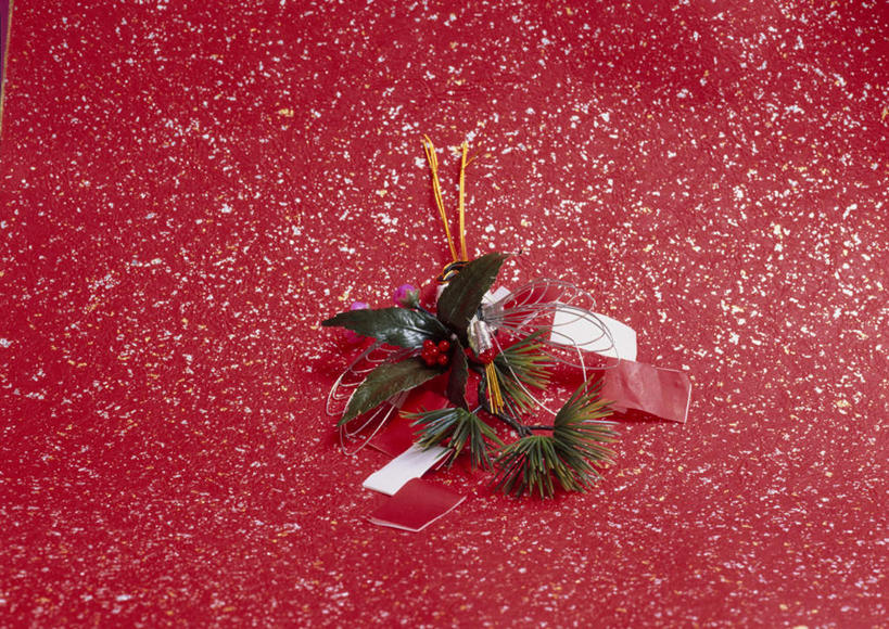 无人,横图,俯视,室内,特写,白天,松树,叶子,圣诞节,红色背景,节日,庆祝,绿叶,文化,庆典,嫩叶,摄影,影棚,纪念,坚定,长寿,贞洁,叶,叶片,彩图,高角度拍摄,影棚拍摄,拍摄