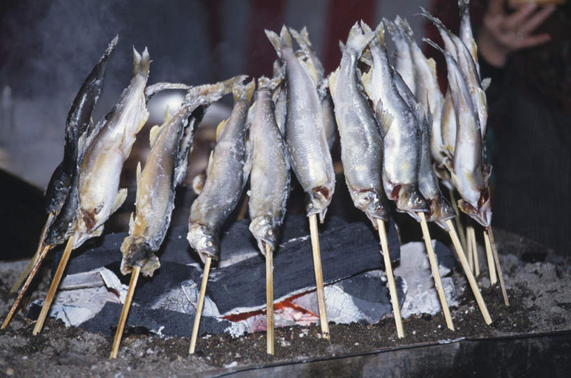 无人,横图,室内,特写,白天,正面,烧烤,煤炭,一排,许多,整齐,鱼,烤架,香鱼,烤肉,鱼类,海洋生物,排列,铁架,能源,燃料,队列,水生动物,煤,能量,水生物,海底动物,煤矿,矿业,化石燃料,瓜鱼,香油鱼,彩图