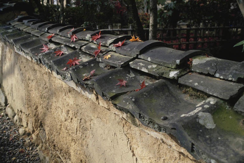 无人,横图,俯视,室外,白天,旅游,度假,美景,秋季,叶子,阴影,光线,瓦片,影子,墙,屋檐,景观,枫叶,枯叶,落叶,娱乐,檐,墙壁,墙面,黄色,红色,阳光,自然,享受,休闲,景色,放松,枫树叶,自然风光,叶,叶片,秋,秋天,彩图,高角度拍摄