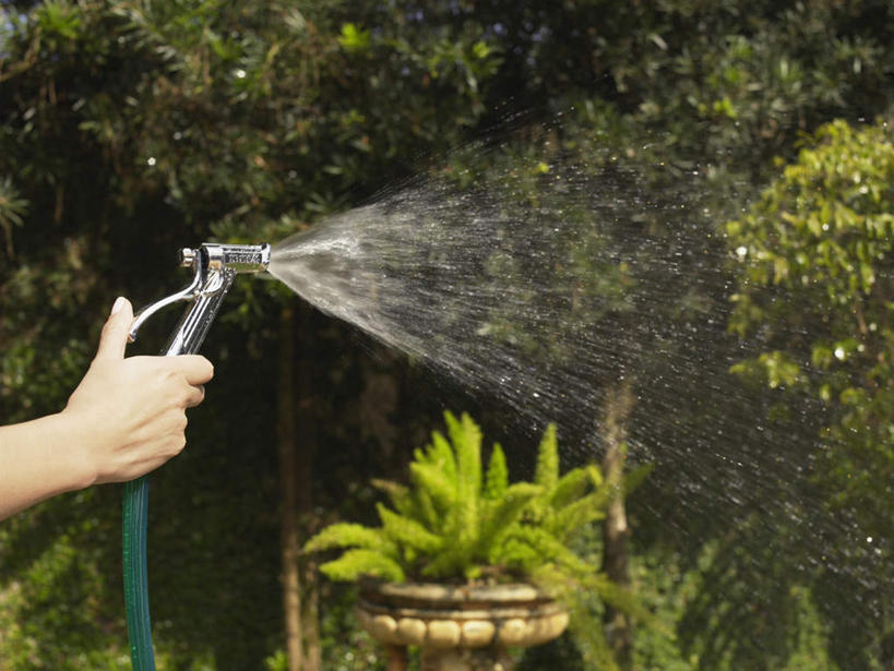 西方人,手,一个人,花园,横图,室外,白天,侧面,花圃,水,植物,欧洲,欧洲人,仅一个年轻女性,仅一个女性,仅一个人,飞溅,溅,液体,水滴,水管,喷水,水珠,树,树木,蓝色,绿色,自然,手部,生长,成长,喷洒,年轻女性,女人,女性,白种人,小花园,半身,彩图