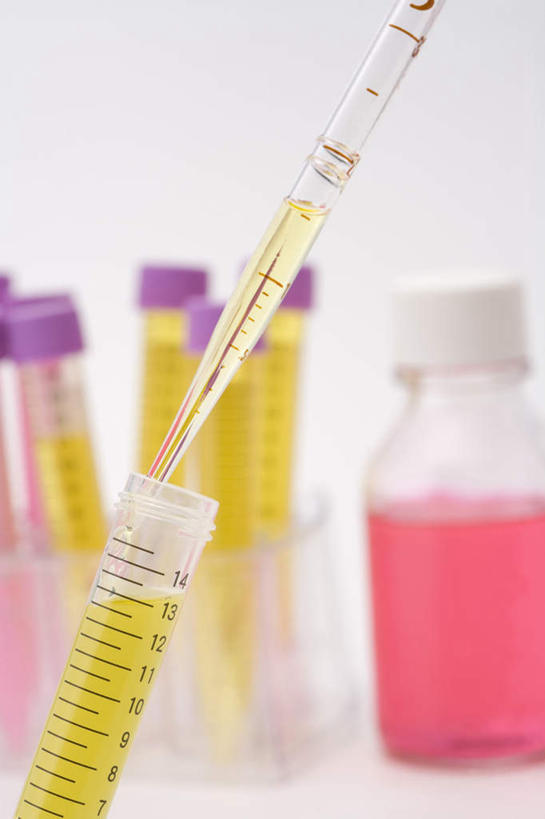 无人,竖图,室内,特写,白天,正面,实验,仪器,水,静物,杯子,一排,朦胧,模糊,研究,整齐,透明,分析,化学,测试,烧瓶,试管,试管架,试剂,液体,水滴,架子,玻璃制品,排列,粉色,黄色,玻璃瓶,瓶子,器皿,摄影,影棚,队列,计量,玻璃仪器,试验耗材,实验用品,圆底烧瓶,吸液管,玻璃杯,彩图,影棚拍摄,拍摄