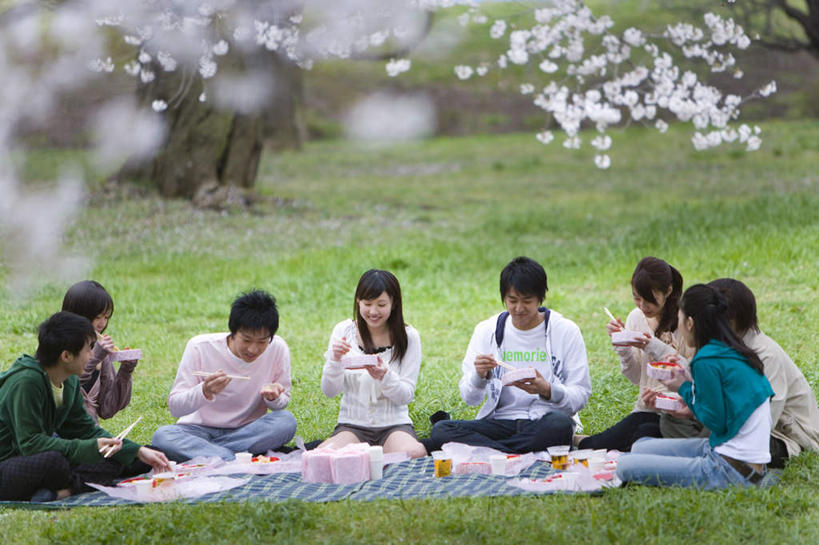 东方人,伙伴,朋友,跪,笑,说,吃,盘腿,微笑,露齿笑,横图,室外,白天,正面,旅游,度假,友谊,幸福,纯洁,草地,草坪,美景,树林,植物,樱花,杯子,日本,亚洲,一排,许多,握,服装,朦胧,模糊,整齐,盛开,饭盒,景观,餐盒,许多人,拿,花蕾,拿着,注视,休闲装,黄种人,娱乐,盒子,桌布,草,花,花瓣,花朵,鲜花,树,树木,排列,衣服,粉色,绿色,白色,自然,纸制品,花苞,花蕊,观察,看,一群人,享受,休闲,休闲服,景色,放松,握着,服饰,生长,成长,观看,等待,纸杯,察看,生命,队列,关注,一次性杯子,自然风光,东亚,日本国,仙樱花,福岛樱,青肤樱,高尚,热烈,交流,友情,男人,男性,年轻男性,年轻女性,女人,女性,亚洲人,荆桃,沟通,跪着,讲话,交谈,嚼,盘腿而坐,盘膝,盘着腿的,盘着腿坐,食,双腿交叉,说话,谈话,彩图,全身