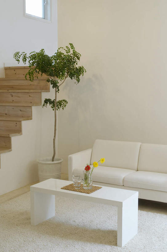 无人,家,客厅,竖图,室内,白天,正面,植物,别墅,窗户,家具,楼梯,沙发,装修,建筑,欧式,三朵,装饰,盛开,盆栽,房屋,阶梯,屋子,公寓,盆景,花蕾,茶几,建设,现代,装潢,洋房,楼房,玻璃窗,台阶,住宅,花,花瓣,花朵,鲜花,黄色,红色,绿色,自然,室内装潢,花苞,花蕊,生长,成长,明亮,起居室,舒适,家居装潢,房屋设计,简约风格,布艺沙发,室内设计,宽敞,样板房装潢,设计,彩图,房子