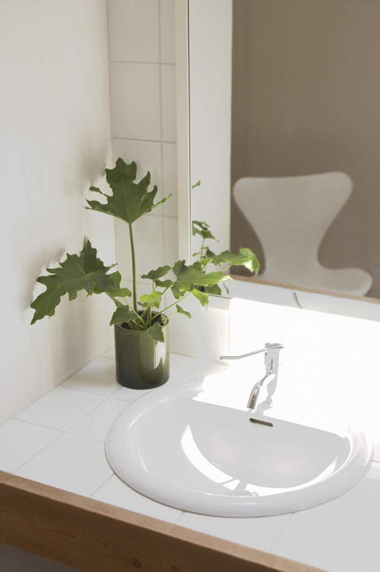 无人,家,竖图,俯视,室内,特写,白天,植物,别墅,家具,镜子,卫生间,洗手间,建筑,欧式,阴影,朦胧,模糊,装饰,光线,盆栽,水龙头,影子,房屋,屋子,公寓,盆景,建设,现代,洋房,楼房,开关,住宅,绿色,阳光,自然,打开,生长,成长,面盆,明亮,阀门,镜像,舒适,开启,镜面,简约风格,宽敞,水咀,厕所,彩图,高角度拍摄,房子