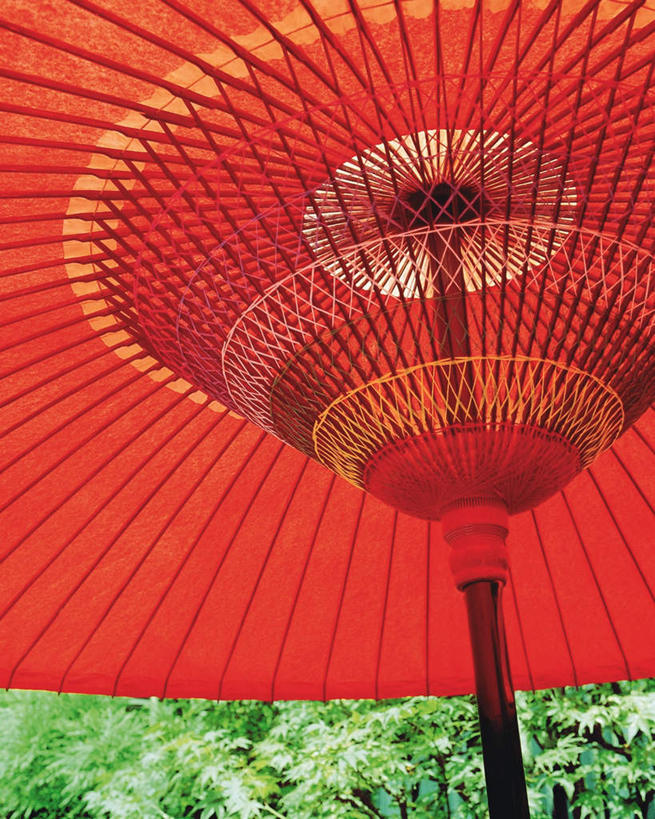 无人,竖图,室外,白天,正面,幸福,森林,树林,植物,日本,亚洲,撑,阴影,日本文化,环绕,光线,伞,影子,雨伞,纸,纸伞,古典,油纸伞,文化,传统,树,树木,排列,红色,绿色,阳光,自然,红纸,生长,伞柄,成长,纪念,木棍,吉祥,撑着,队列,古朴,东亚,日本国,平安,彩图