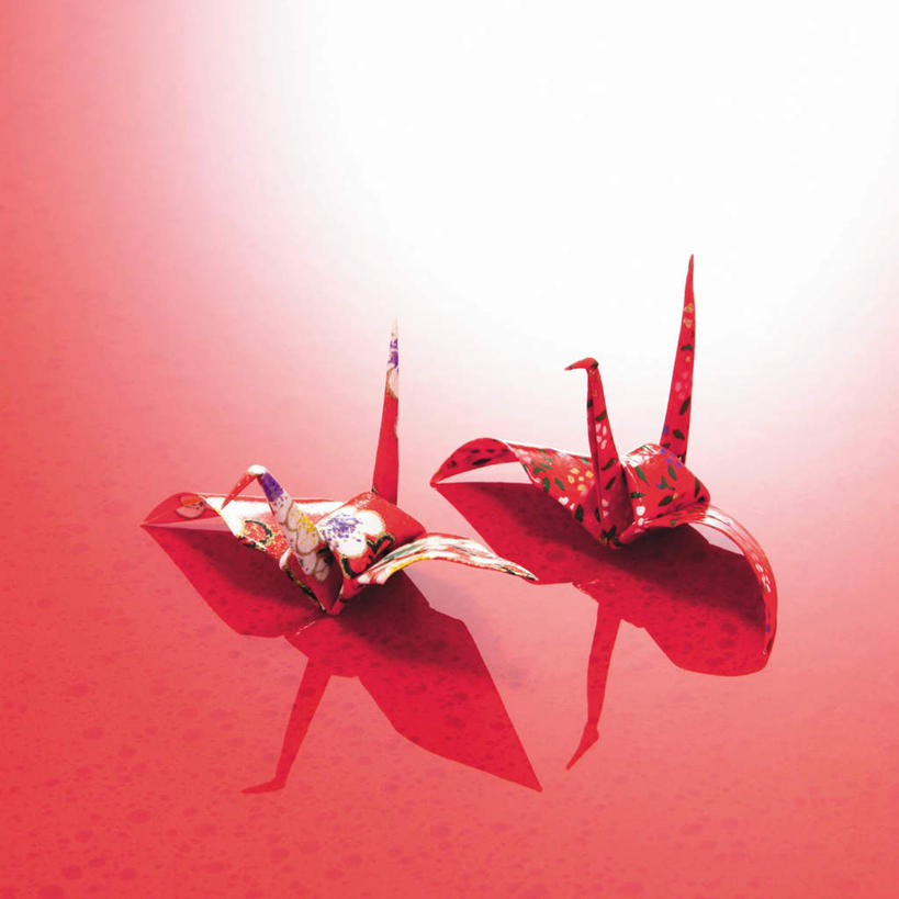 无人,方图,俯视,室内,特写,白天,静物,日本,亚洲,阴影,红色背景,日本文化,艺术,反射,影子,折纸,纸艺,手工艺品,千纸鹤,文化,传统,红色,纸鹤,工艺品,两只,摄影,影棚,高雅,东亚,日本国,工艺折纸,自信心,品位,彩图,高角度拍摄,影棚拍摄,拍摄