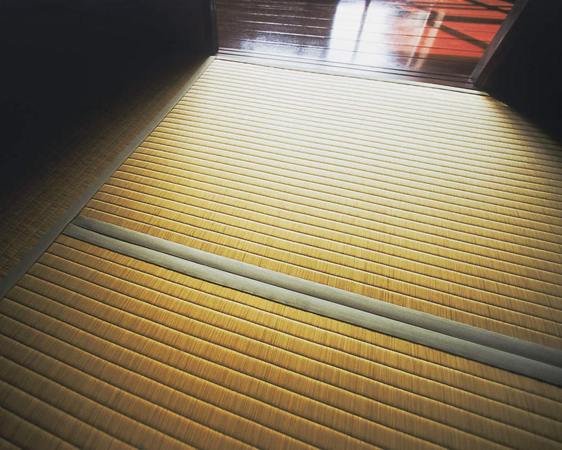 无人,家,横图,俯视,室内,白天,窗户,落地窗,日本,亚洲,阴影,朦胧,模糊,光线,影子,房屋,屋子,地面,榻榻米,玻璃窗,住宅,阳光,垫子,东亚,日本国,彩图,高角度拍摄,房子