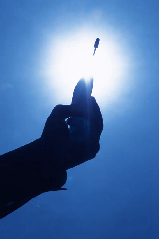 东方人,手,一个人,商务人士,商务男性,摸,打电话,竖图,室外,特写,白天,仰视,电话,手机,亚洲,仅一个男性,仅一个人,敲打,握,阴影,光线,影子,拿,拿着,黄种人,输入,通讯设备,仅一个年轻男性,阳光,手部,手指,握着,单手,点击,敲击,工薪阶层,袖口,一部,交流,按键,男人,男性,年轻男性,亚洲人,白领,上班族,触摸,沟通,接触,通话,半身,彩图,低角度拍摄