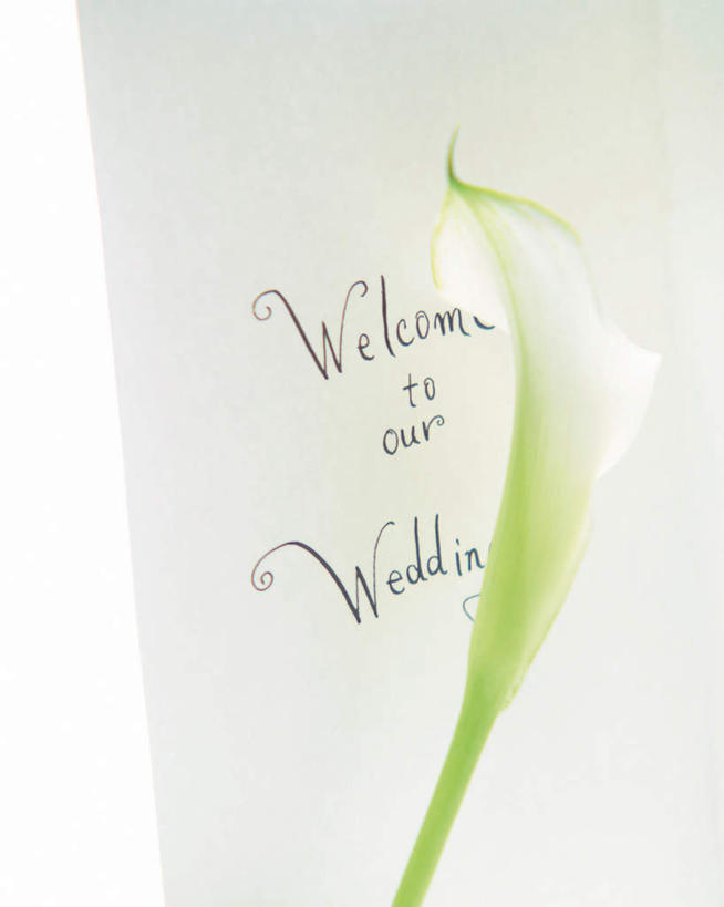 无人,竖图,俯视,室内,特写,白天,婚礼,快乐,纯洁,马蹄莲,阴影,朦胧,模糊,庆祝,装饰,光线,标志,文字,信封,影子,字符,字母,结婚,标识,虔诚,阳光,喜庆,纪念,希望,优雅,华丽,修饰,点缀,高贵,邀请,请帖,纯净,马蹄兰,博爱,永恒,尊贵,高洁,慈菇花,衬托,美观,雅致,雅观,圣洁,水芋,水芋马,彩图,高角度拍摄,高兴,请柬