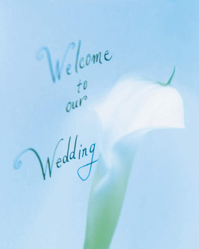 无人,竖图,室内,特写,白天,正面,婚礼,快乐,纯洁,马蹄莲,阴影,朦胧,模糊,庆祝,装饰,光线,标志,文字,信封,影子,字符,字母,结婚,标识,虔诚,阳光,喜庆,纪念,希望,优雅,华丽,修饰,点缀,高贵,邀请,请帖,纯净,马蹄兰,博爱,永恒,尊贵,高洁,慈菇花,衬托,美观,雅致,雅观,圣洁,水芋,水芋马,彩图,高兴,请柬