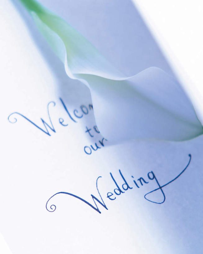 无人,竖图,室内,特写,白天,正面,婚礼,快乐,纯洁,马蹄莲,阴影,朦胧,模糊,庆祝,装饰,光线,标志,文字,信封,影子,字符,字母,结婚,标识,虔诚,阳光,喜庆,纪念,希望,优雅,华丽,修饰,点缀,高贵,邀请,请帖,纯净,马蹄兰,博爱,永恒,尊贵,高洁,慈菇花,衬托,美观,雅致,雅观,圣洁,水芋,水芋马,彩图,高兴,请柬