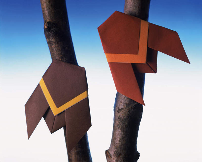 无人,横图,室内,特写,白天,正面,蝉,静物,艺术,折纸,纸艺,手工艺品,棕色,文化,树干,红色,工艺品,两只,高雅,工艺折纸,自信心,品位,彩图