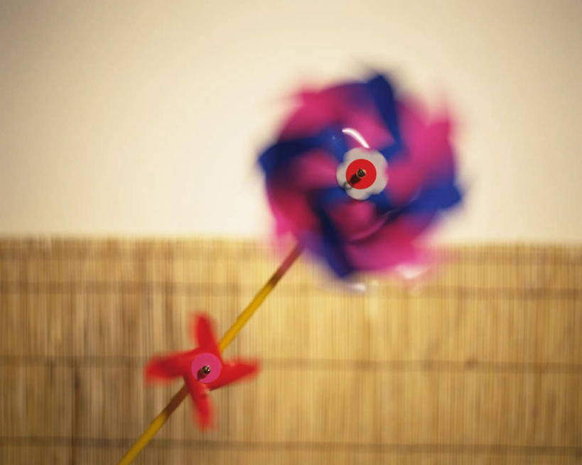 无人,横图,室内,特写,白天,正面,快乐,自由,幸福,静物,风车,玩具,朦胧,模糊,旋转,娱乐,两个,休闲,喜庆,活力,希望,吉祥,象征,和平,梦想,忠诚,进取,灵动,勇敢,勤奋,团结,幸运,彩图